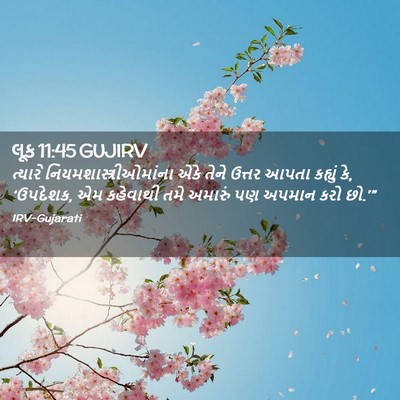 Picture 02 - લૂક 11:45 GUJIRV - ત્યારે - Bible Verse Picture