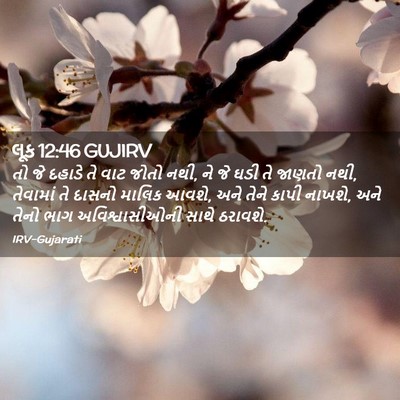 Picture 02 - લૂક 12:46 GUJIRV - તો જે દહાડે તે વાટ - Bible Verse Picture