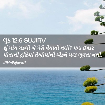 Picture 02 - લૂક 12:6 GUJIRV - શું પાંચ ચકલી બે - Bible Verse Picture