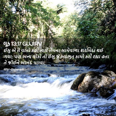 Picture 02 - લૂક 13:17 GUJIRV - ઈસુ એ તે વાતો કહી - Bible Verse Picture