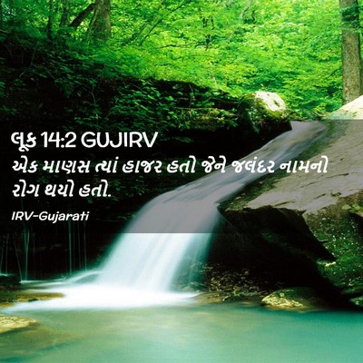Picture 02 - લૂક 14:2 GUJIRV - એક માણસ ત્યાં હાજર - Bible Verse Picture