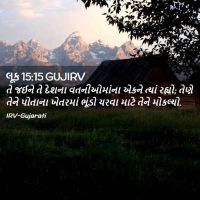 Picture 02 - લૂક 15:15 GUJIRV - તે જઈને તે દેશના - Bible Verse Picture