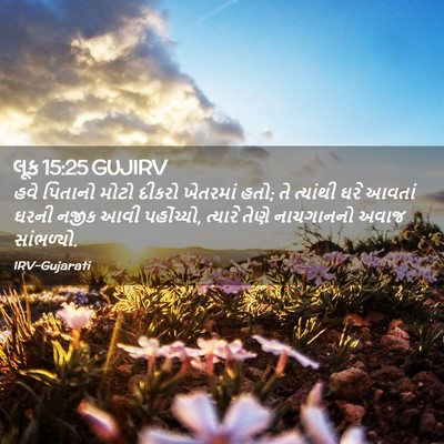 Picture 02 - લૂક 15:25 GUJIRV - હવે પિતાનો મોટો - Bible Verse Picture