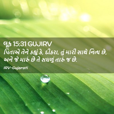 Picture 02 - લૂક 15:31 GUJIRV - પિતાએ તેને કહ્યું - Bible Verse Picture