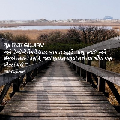 Picture 02 - લૂક 17:37 GUJIRV - અને તેઓએ તેમને - Bible Verse Picture