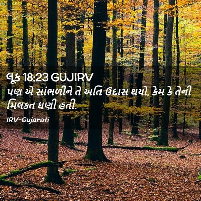 Picture 02 - લૂક 18:23 GUJIRV - પણ એ સાંભળીને તે - Bible Verse Picture