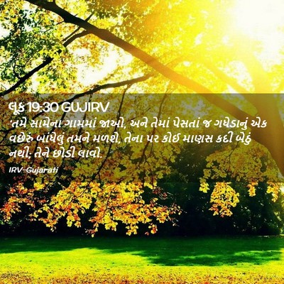 Picture 02 - લૂક 19:30 GUJIRV - ‘તમે સામેના - Bible Verse Picture