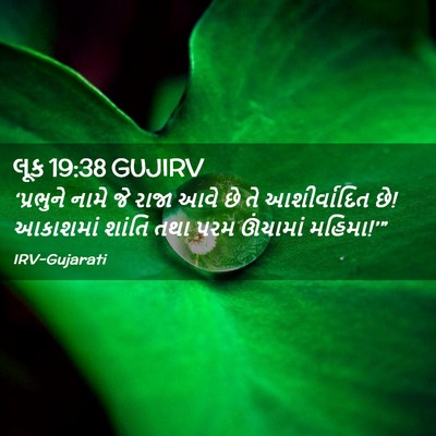 Picture 02 - લૂક 19:38 GUJIRV - ‘પ્રભુને નામે જે - Bible Verse Picture