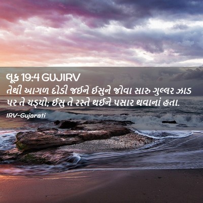 Picture 02 - લૂક 19:4 GUJIRV - તેથી આગળ દોડી જઈને - Bible Verse Picture