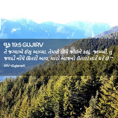 Picture 02 - લૂક 19:5 GUJIRV - તે જગ્યાએ ઈસુ - Bible Verse Picture