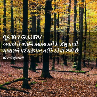 Picture 02 - લૂક 19:7 GUJIRV - બધાએ તે જોઈને કચકચ - Bible Verse Picture