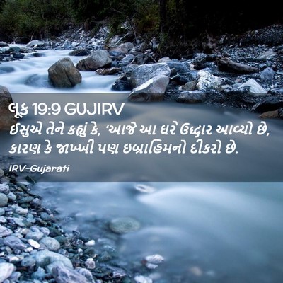 Picture 02 - લૂક 19:9 GUJIRV - ઈસુએ તેને કહ્યું - Bible Verse Picture
