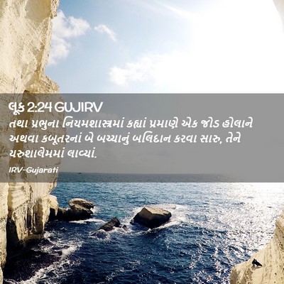 Picture 02 - લૂક 2:24 GUJIRV - તથા પ્રભુના - Bible Verse Picture