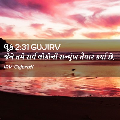 Picture 02 - લૂક 2:31 GUJIRV - જેને તમે સર્વ - Bible Verse Picture