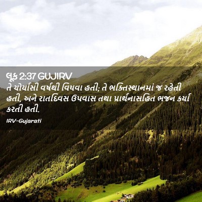Picture 02 - લૂક 2:37 GUJIRV - તે ચોર્યાસી - Bible Verse Picture