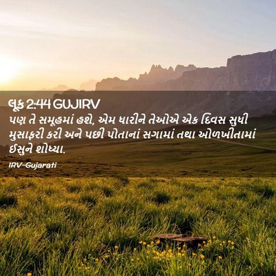 Picture 02 - લૂક 2:44 GUJIRV - પણ તે સમૂહમાં હશે, - Bible Verse Picture