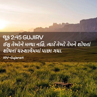 Picture 02 - લૂક 2:45 GUJIRV - ઈસુ તેઓને મળ્યા - Bible Verse Picture