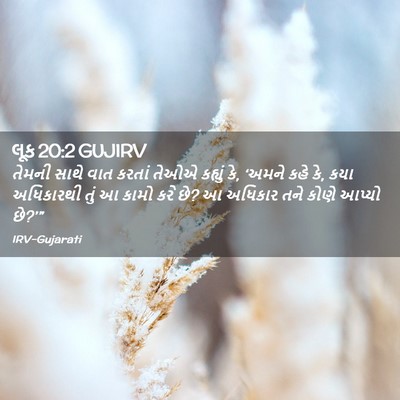 Picture 02 - લૂક 20:2 GUJIRV - તેમની સાથે વાત - Bible Verse Picture