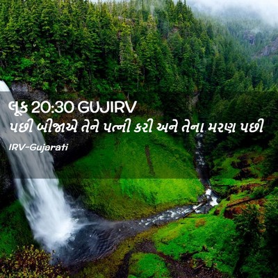 Picture 02 - લૂક 20:30 GUJIRV - પછી બીજાએ તેને - Bible Verse Picture