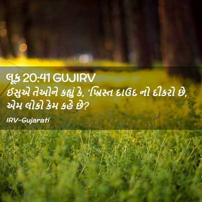 Picture 02 - લૂક 20:41 GUJIRV - ઈસુએ તેઓને કહ્યું - Bible Verse Picture