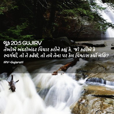 Picture 02 - લૂક 20:5 GUJIRV - તેઓએ અંદરોઅંદર - Bible Verse Picture