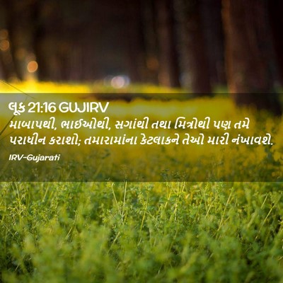 Picture 02 - લૂક 21:16 GUJIRV - માબાપથી, ભાઈઓથી, - Bible Verse Picture