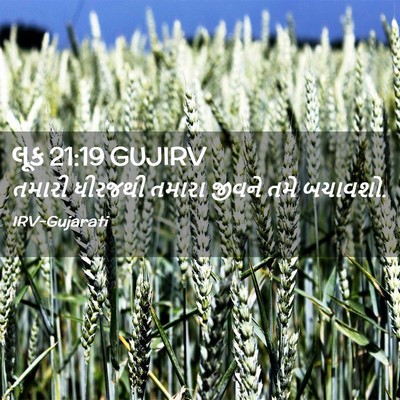 Picture 02 - લૂક 21:19 GUJIRV - તમારી ધીરજથી - Bible Verse Picture