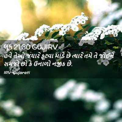 Picture 02 - લૂક 21:30 GUJIRV - હવે તેઓ જયારે - Bible Verse Picture