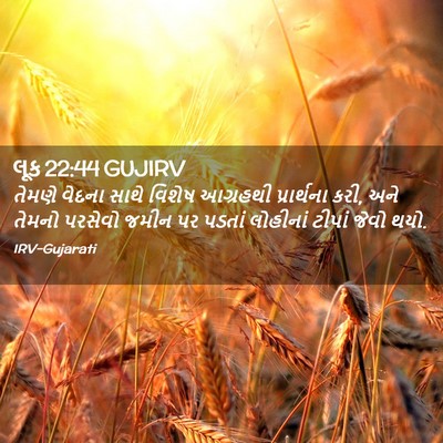 Picture 02 - લૂક 22:44 GUJIRV - તેમણે વેદના સાથે - Bible Verse Picture