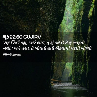 Picture 02 - લૂક 22:60 GUJIRV - પણ પિતરે કહ્યું, - Bible Verse Picture
