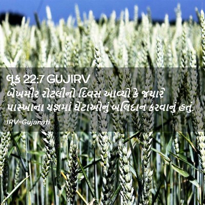 Picture 02 - લૂક 22:7 GUJIRV - બેખમીર રોટલીનો - Bible Verse Picture