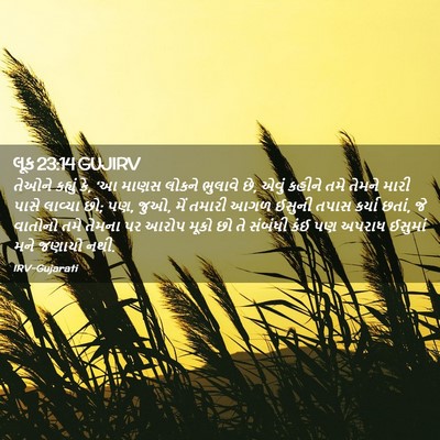 Picture 02 - લૂક 23:14 GUJIRV - તેઓને કહ્યું કે, ‘આ - Bible Verse Picture