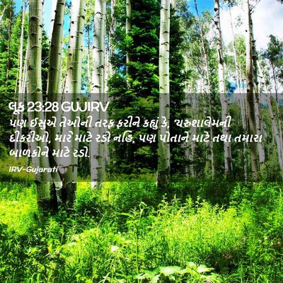 Picture 02 - લૂક 23:28 GUJIRV - પણ ઈસુએ તેઓની તરફ - Bible Verse Picture