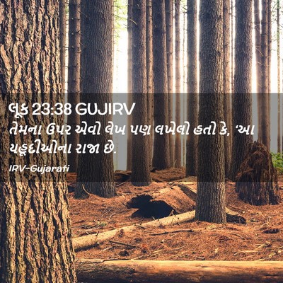 Picture 02 - લૂક 23:38 GUJIRV - તેમના ઉપર એવો લેખ - Bible Verse Picture