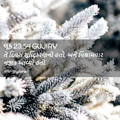 Picture 02 - લૂક 23:54 GUJIRV - તે દિવસ - Bible Verse Picture