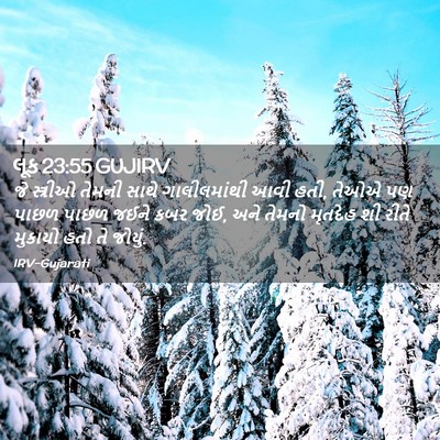 Picture 02 - લૂક 23:55 GUJIRV - જે સ્ત્રીઓ તેમની - Bible Verse Picture