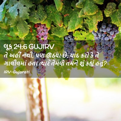 Picture 02 - લૂક 24:6 GUJIRV - તે અહીં નથી, પણ - Bible Verse Picture