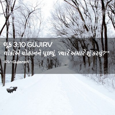 Picture 02 - લૂક 3:10 GUJIRV - લોકોએ યોહાનને - Bible Verse Picture
