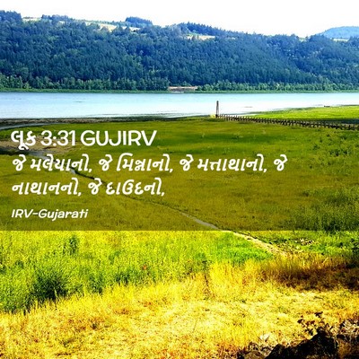 Picture 02 - લૂક 3:31 GUJIRV - જે મલેયાનો, જે - Bible Verse Picture
