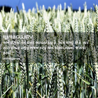 Picture 02 - લૂક 4:8 GUJIRV - અને ઈસુએ તેને - Bible Verse Picture