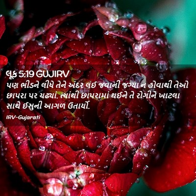 Picture 02 - લૂક 5:19 GUJIRV - પણ ભીડને લીધે તેને - Bible Verse Picture