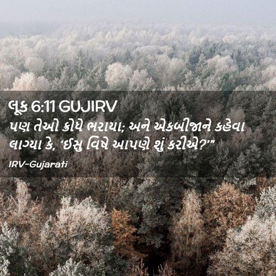 Picture 02 - લૂક 6:11 GUJIRV - પણ તેઓ ક્રોધે - Bible Verse Picture