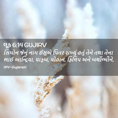 Picture 02 - લૂક 6:14 GUJIRV - સિમોન જેનું નામ - Bible Verse Picture