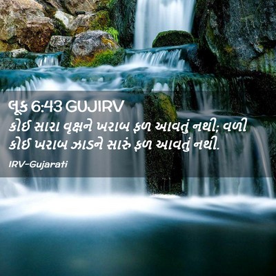 Picture 02 - લૂક 6:43 GUJIRV - કોઈ સારા વૃક્ષને - Bible Verse Picture
