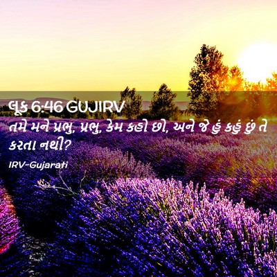 Picture 02 - લૂક 6:46 GUJIRV - તમે મને પ્રભુ, - Bible Verse Picture