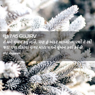 Picture 02 - લૂક 7:45 GUJIRV - તેં મને ચુંબન - Bible Verse Picture
