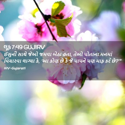 Picture 02 - લૂક 7:49 GUJIRV - ઈસુની સાથે જેઓ - Bible Verse Picture