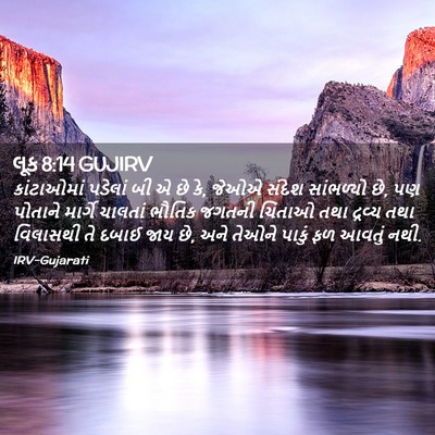 Picture 02 - લૂક 8:14 GUJIRV - કાંટાઓમાં પડેલાં - Bible Verse Picture