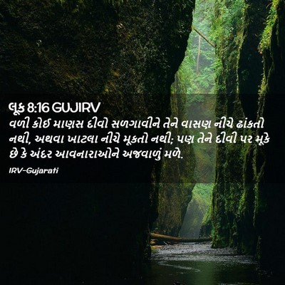 Picture 02 - લૂક 8:16 GUJIRV - વળી કોઈ માણસ દીવો - Bible Verse Picture