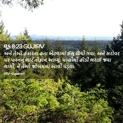 Picture 02 - લૂક 8:23 GUJIRV - અને તેઓ હંકારતા - Bible Verse Picture